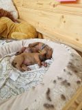 20230418_160606-1-scaled