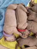 IMG-20230414-WA00001
