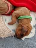 IMG-20230414-WA00011