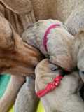 IMG-20230414-WA00091