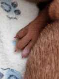 IMG-20230414-WA00101