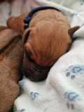 IMG-20230414-WA00111