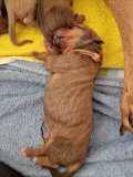 IMG-20230414-WA00131