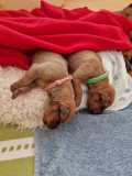 IMG-20230414-WA00171