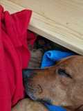 IMG-20230414-WA00191