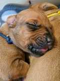 IMG-20230420-WA0000
