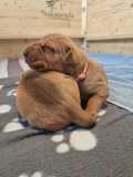IMG-20230420-WA0002