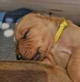 IMG-20230420-WA0004