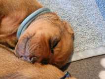 IMG-20230420-WA0008