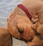 IMG-20230420-WA0010