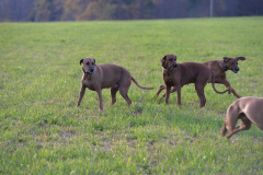 DSC_5047