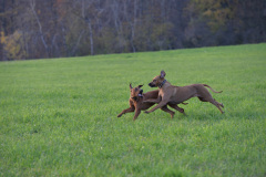 DSC_5066