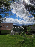 zuchtaette12